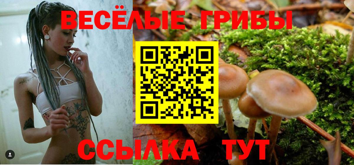 Галлюциногенные грибы Magic Shrooms  Вход с VPN  Саранск  Галлюциногенные грибы Cubensis 